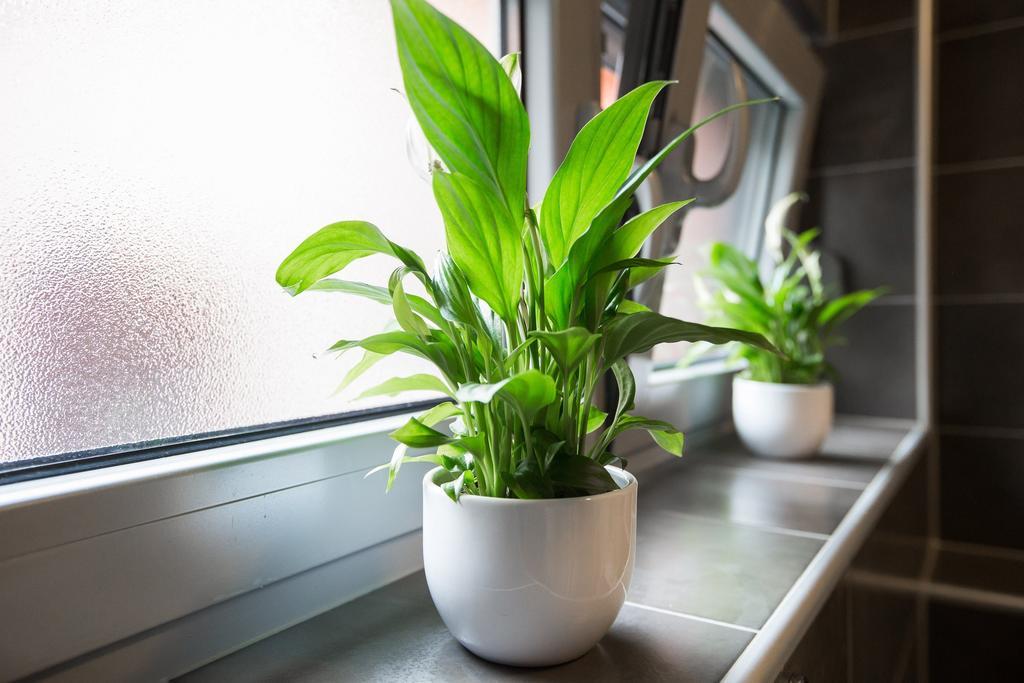 Apartment Max Zagrzeb Zewnętrze zdjęcie